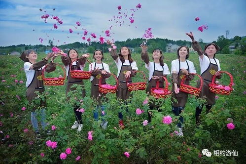 母親節(jié)花語獻(xiàn)禮 深圳游仙七朵仙花，獻(xiàn)給最美的她