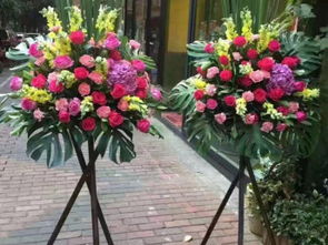 深圳鮮花綠植 婚慶展會布置與園藝設(shè)計(jì)的專業(yè)指南