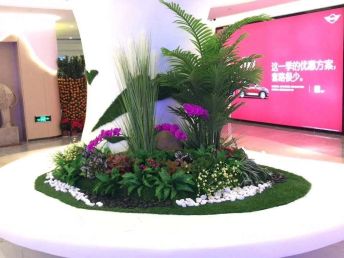 深圳辦公室花卉租擺與綠化養(yǎng)護(hù)服務(wù)，打造優(yōu)雅辦公環(huán)境